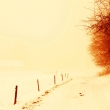 mlhav� cesta pod �achrovem