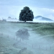 krajina po de�ti ve Vysok� L�p�